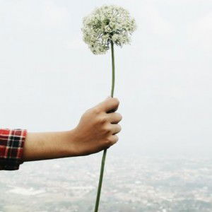 Syafa Syafaaina profile icon