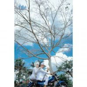 Dwi Sukhendar profile icon