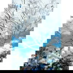 Dwi Sukhendar profile icon