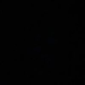 Michael Arevalo Ann Querioso profile icon