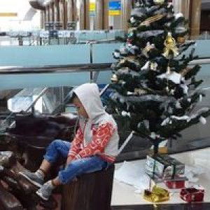 Davin Ci profile icon