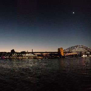 Rosy Rosy profile icon