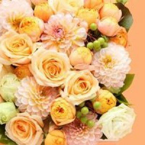 Aileen De Mesa profile icon