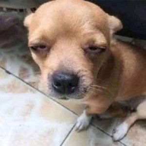 บิ๋ม อี้ profile icon