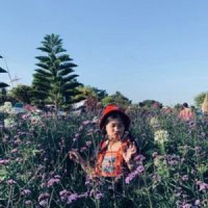 Sai Saranya profile icon