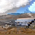 Jeab Pattama profile icon