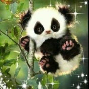 Mawar Berduri profile icon