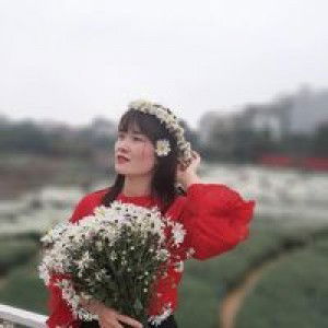 Dung Tư profile icon