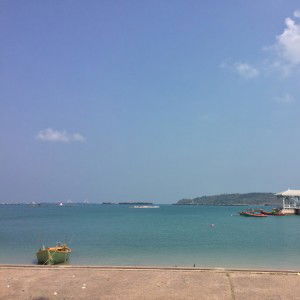 matthida khattiya profile icon