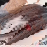 เพ็ญพักตร์ ประเสริฐพัตร profile icon