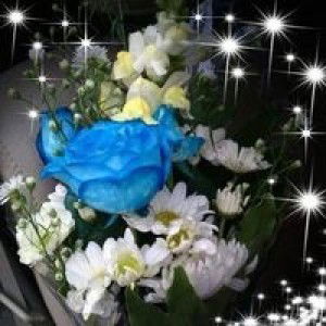 Veri Endaryeni profile icon