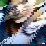 Arnita Nurranti profile icon