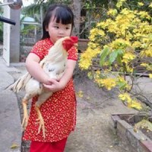 Đinh Tuyết Nhi profile icon
