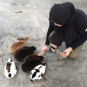 SHa Angel IEra profile icon