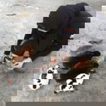 SHa Angel IEra profile icon