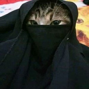 Ilmiyah Alfiyah profile icon