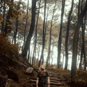 Nurifah Al-Shakira profile icon