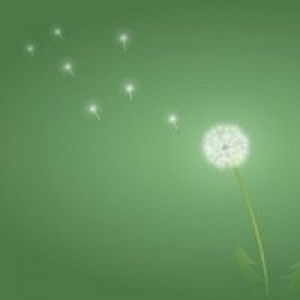 Cát Tường profile icon