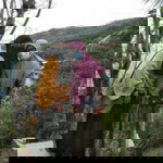 chy mien profile icon