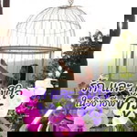 พักตรา ราชามาตย์ profile icon
