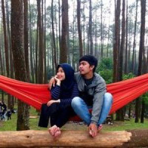 في انتظار نعمتك profile icon