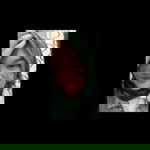 Elsa Sulastri profile icon