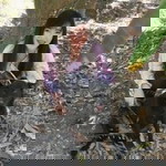 Athittaya Yospang profile icon