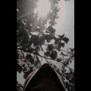 Mei Purwita Sari profile icon