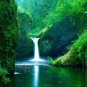 Thao Tran van profile icon