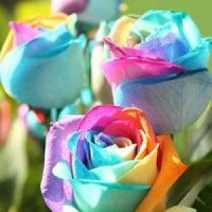 Ulfa Mamahnya Furqon profile icon