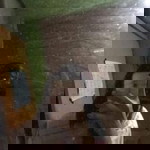 วิศรุตา วงษ์จันทร์ profile icon