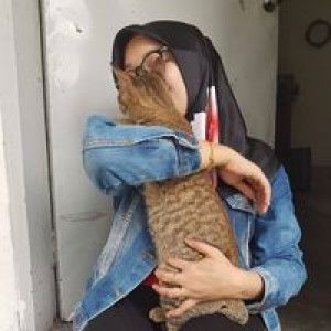 nova lestari profile icon