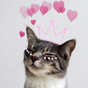 Syuhada Sobri profile icon