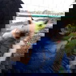 Aiy ISuriyasomporn profile icon