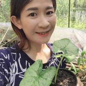 Zrie Thitinan profile icon