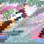 Ully Deres profile icon