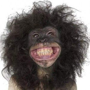 Tri Via profile icon