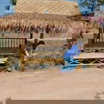 มีนตรา ฮารุ profile icon