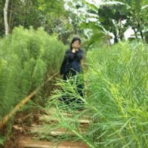 Kartika Sari profile icon