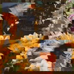 khoerunnisya profile icon