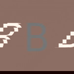 Binh Phi profile icon