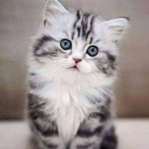 Yunita Apriyani profile icon