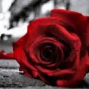 lathifa mardiati profile icon