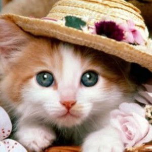 Fifin Nurafina . profile icon