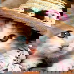 Fifin Nurafina . profile icon