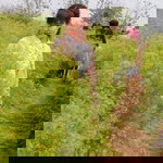 Hìên Tuyên Quang profile icon