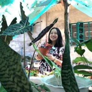 YD Lares profile icon