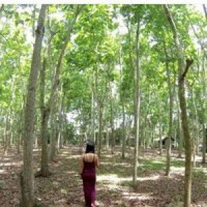 Eza Arif Jma profile icon