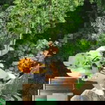 Kwang Kwang profile icon