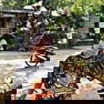 ไว'ว มอล'ล profile icon